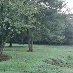 Le Coq En Repos Saint-Sylvestre-sur-Lot