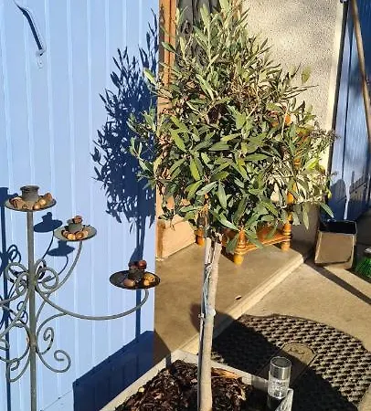 Le Coq En Repos Saint-Sylvestre-sur-Lot