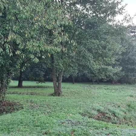 Le Coq En Repos Saint-Sylvestre-sur-Lot