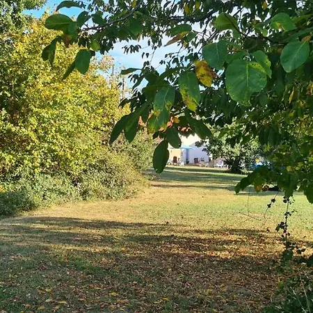 Le Coq En Repos * Saint-Sylvestre-sur-Lot