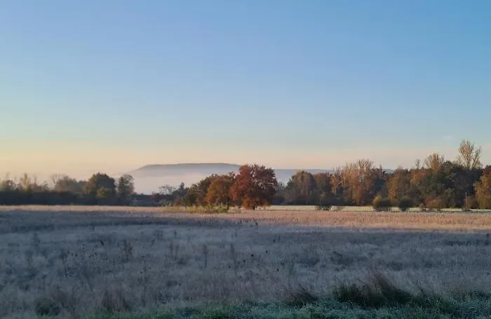 Oda ve Kahvaltı Le Coq En Repos Saint-Sylvestre-sur-Lot