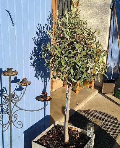 Le Coq En Repos Saint-Sylvestre-sur-Lot