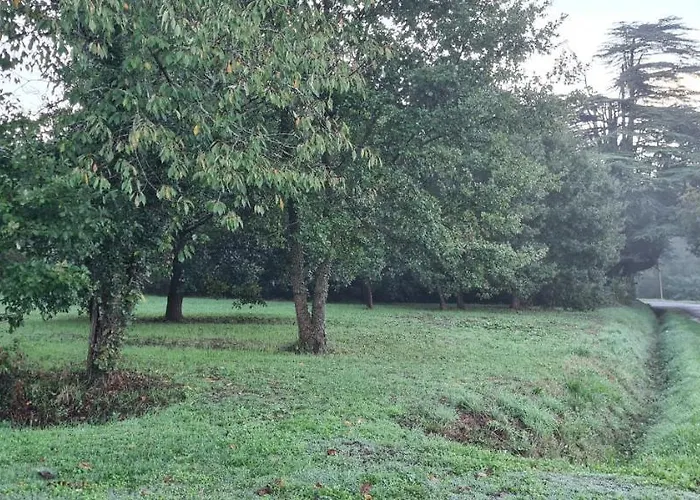 Le Coq En Repos Saint-Sylvestre-sur-Lot