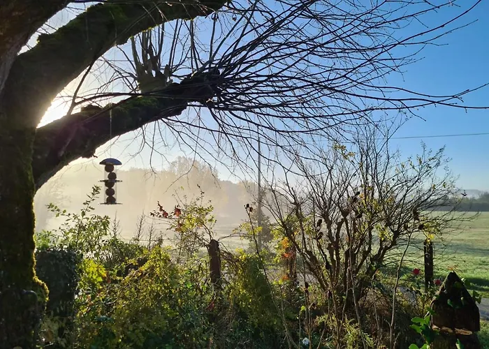 Le Coq En Repos Oda ve Kahvaltı Saint-Sylvestre-sur-Lot