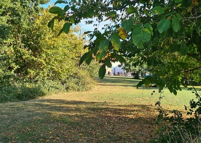 Le Coq En Repos * Saint-Sylvestre-sur-Lot